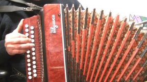 Снегири на гармони(муз.и сл.Трофима)