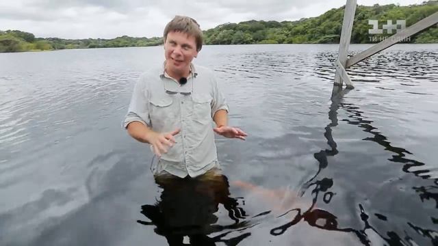 Пресноводные дельфины и традиционное блюдо из бананов. Бразилия. Мир наизнанку 10 сезон 34 выпуск