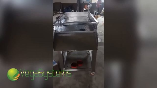 Калибровочный вибростол Vega VibroSorting table 1500, калибровка ягод смотреть онлайн