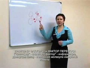 Иммунитет и трансфер фактор. Кручинина Марина