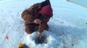 Щука. Рыбалка в Хакасии.