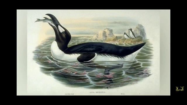 Топ 3 животных которые исчезли с нашей смотреть онлайн