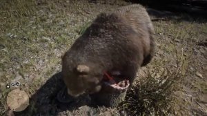 Red Dead Redemption 2 обоюдоострый топор