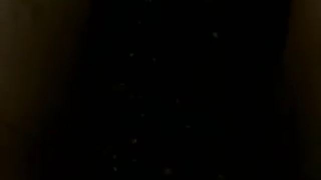 Транспортер инспекционный wmv смотреть онлайн