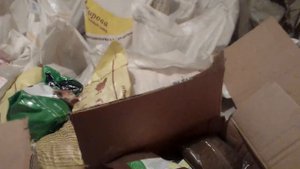 Посылки от интернет магазина ГОРОД ЖИВОТНЫХ