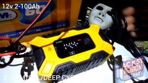 TK300 Импульсное зарядное устройство для любого типа аккумуляторных батарей 12v от 2 до 100Ah