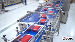 Упаковка мясных продуктов в лотки в МГС на трейсилере ULMA TSA 1200 XL D