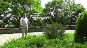 Таганрог. Дома и судьбы. Морской бульвар. Ныне сквер Петра I