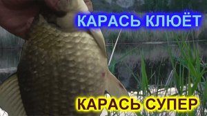 Рыбалка на карася в начале июня