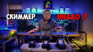 Обзор скиммеров , производство РФ  | Морская аквариумистика