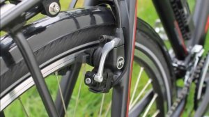 Bergamont VITESS LTD RIGID GENT