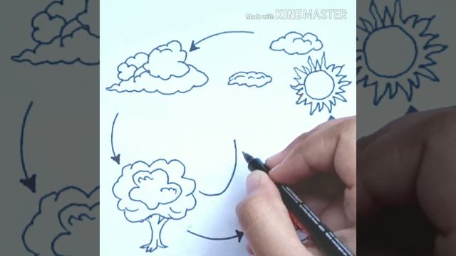 Water cycle/ how to draw water cycle/diagram of water cycle/easy water cycle diagram/science diagra смотреть онлайн