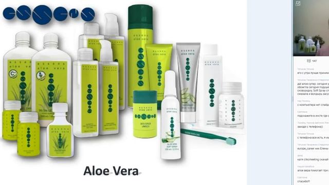 "Essens" школа. Елена Гапченко 31.01.2019г. смотреть онлайн