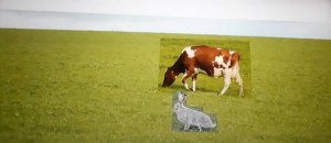 АНЕКДОТ про зайца м корову