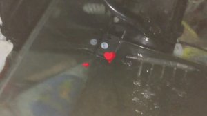 Спасение черепахи ! Посылки с малышом 50