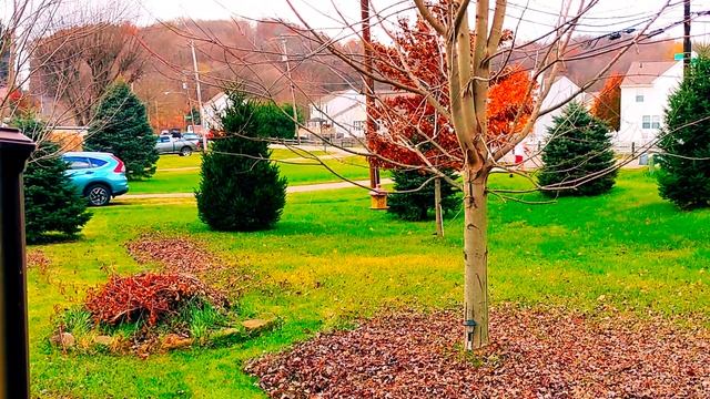 Уборка двора без граблей / Сарай / До и после смотреть онлайн