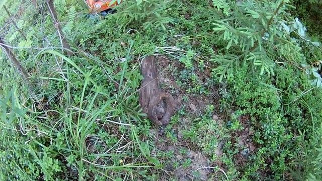 Вынужденный металлокоп смотреть онлайн