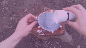 Как избавиться от поросли деревьев и кустарников на участке