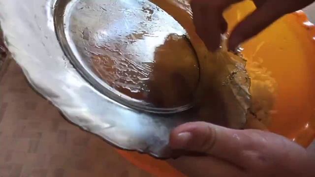 Перепёлки начали вылупляться #куриные_рубленные_катлеты #вылупление_перепёлок