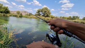 Окуневый темпинг