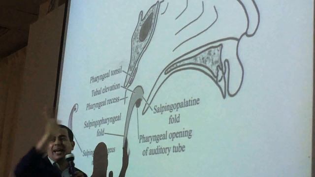 GIT revision Dr Sayed Metwally part 5 смотреть онлайн