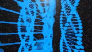 Настрой Сытина На долголетнюю женскую красоту 1 вариант