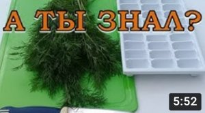 Как СОХРАНИТЬ УКРОП на зиму? Самые лучшие, проверенные способы