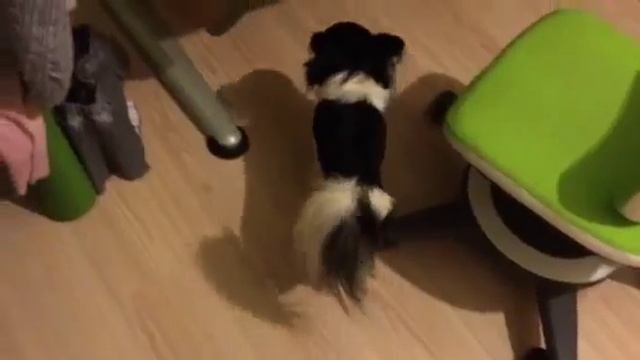 Джаз.mp4
