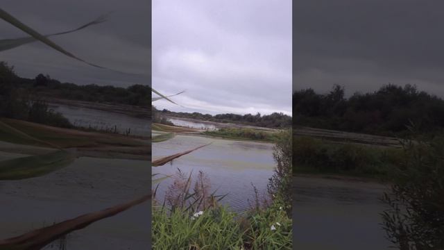 Природа России 5