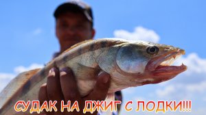 Рыбалка на Дону! Открытие сезона! Судак на джиг с лодки!