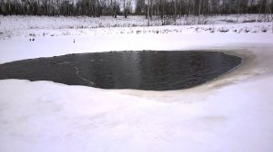 Аэратор в пруду - несколько дней после установки