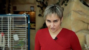Почему Попугай Кричит. Все О Домашних Животных