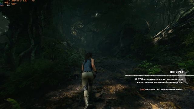 ASUS TUF RTX3080 10G GAMING Shadow Of The Tomb Raider смотреть онлайн
