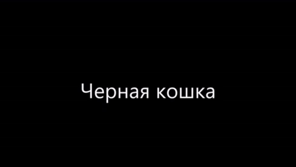 Черная кошка