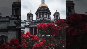 Новые цыганские песни 2023 в твоем саду￼