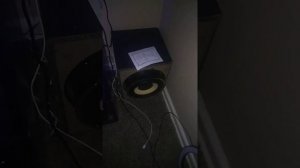 Decaf - La Roux - In For the Kill (Subwoofer SONY SS-WG990)