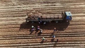 2021 год объявлен в Беларуси годом народного единства