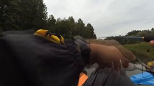 Летний сплав с сыном по Жиздре. Планы на речку в Тверской области.