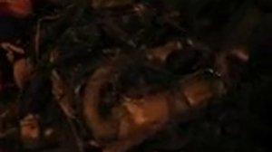 И биться сердце стало