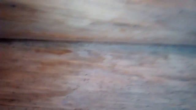 Сруб из сухостойного бревна спустя 5 лет смотреть онлайн