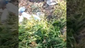 Как люди загрязняют природу😣