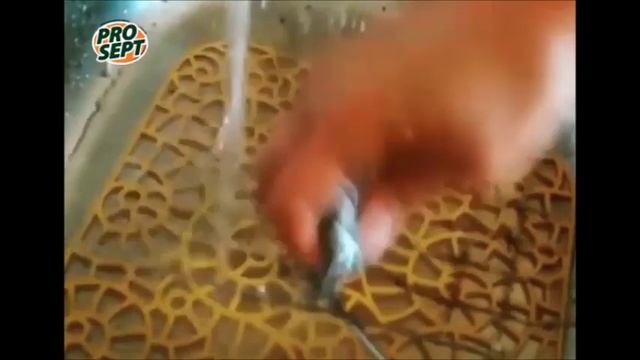 Очищаем решетку средством Cooky Grill от ТМ Prosept смотреть онлайн