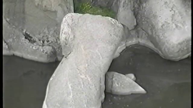 Цветок на камне (Каньоны р.Мертвовода и Ю.Буга) смотреть онлайн