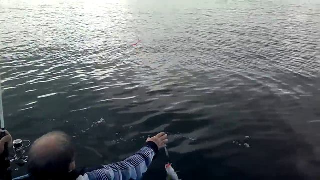 2012 Дальние Зеленцы морская рыбалка смотреть онлайн