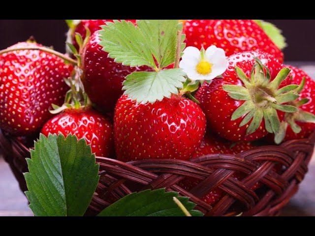 Как посадить клубнику смотреть онлайн