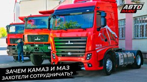 Зачем КамАЗ и МАЗ захотели сотрудничать? 📺 Новости с колёс №2929