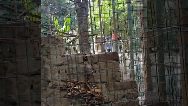 Сафари парк. Рыбалка под Краснодаром смотреть онлайн