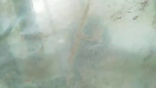 Движения продолжаются. Рассада клубники. смотреть онлайн