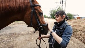 Все, что нужно знать о лошадях.