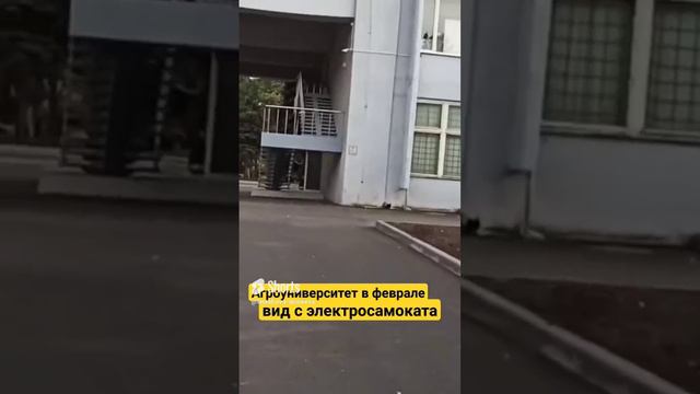 Покатушки в Краснодаре... #какделаваши